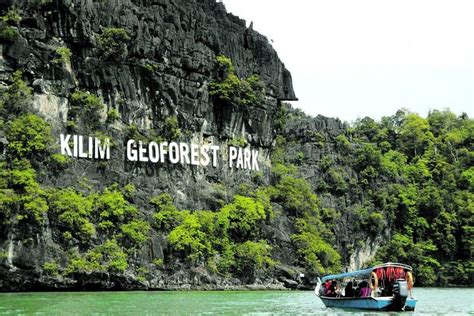 Discover Mangrove Forest and Cave Tour in Langkawi (Shared Tour) 2024