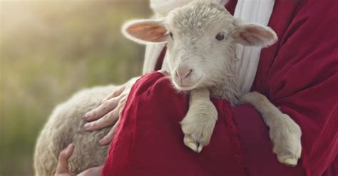 Why Is the ‘Lamb of God’ So Significant? - Topical Studies