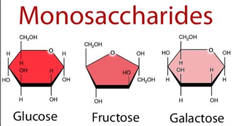 Carbohydrates Structure