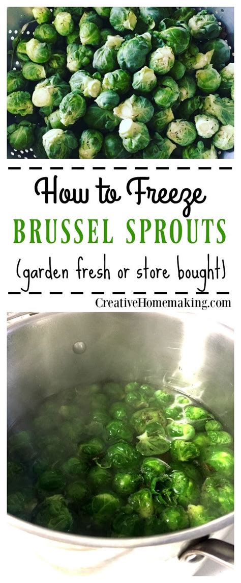 How to Freeze Brussel Sprouts | Brussel sprouts, Freezing brussel sprouts, Sprouts