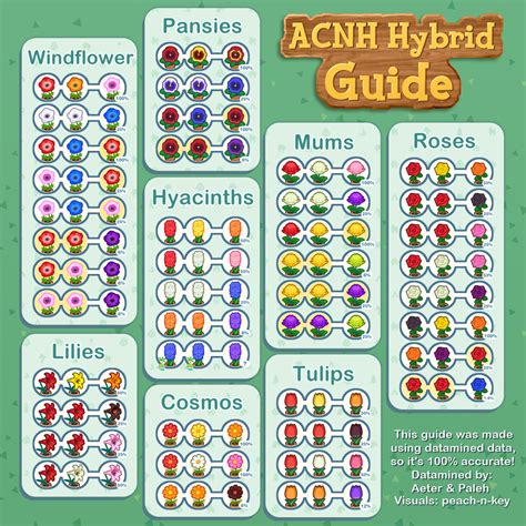 ACNH flower guide | Animal crossing wild world, Animal crossing, Animal crossing game