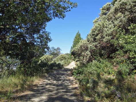 Sugarloaf Mountain Trail | Bear Yuba Land Trust