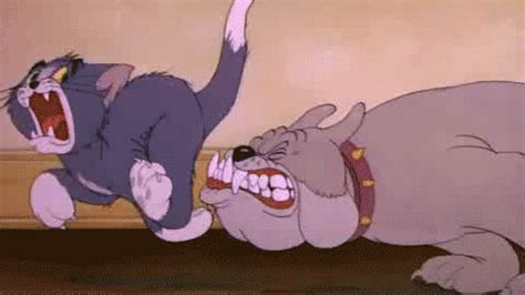 Tom y jerry hay mucho que decir unas de las mejores series de mi ...