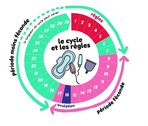 Période d'ovulation et cycle des règles - Parlons Sexualités