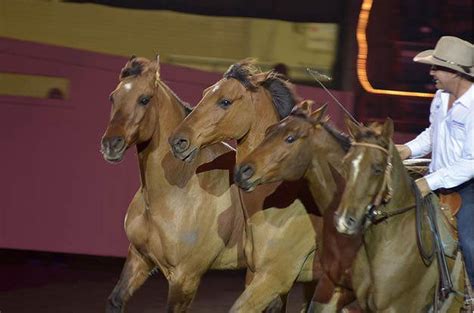 Pennsylvania Horse World Expo to begin at Farm Show Complex - pennlive.com