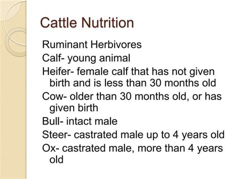 Cattle Nutrition | PPT