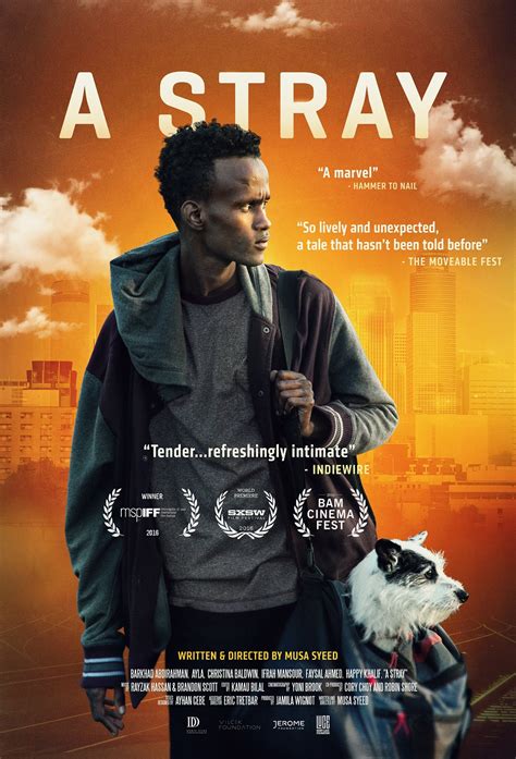 A Stray - Film 2016 - AlloCiné