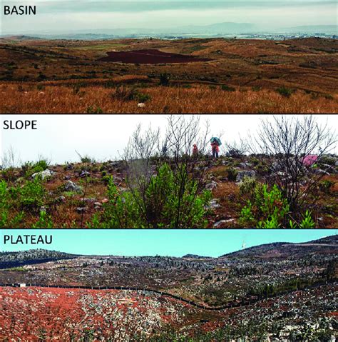 Different examples of rocky desertification in basin, slope and... | Download Scientific Diagram