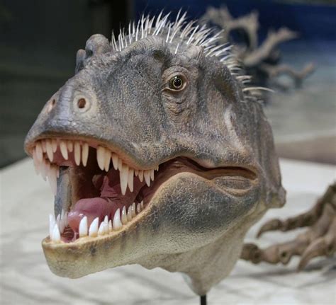 New T. rex relative unveiled in Utah