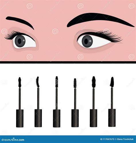 A Girl`s Eyes and Types of Mascara Vector Illustration. Stock Vector - Illustration of paint ...