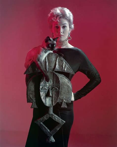 20 Lovely Photos of Kim Novak With Her Cat Pyewacket in “Bell, Book, And Candle” (1958 ...