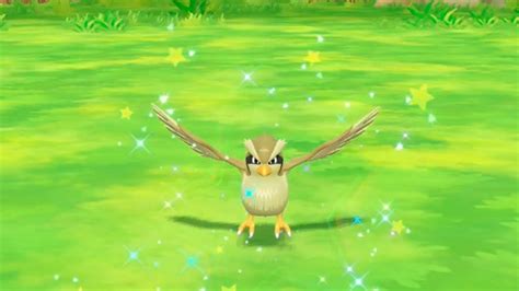 Shiny Pidgey in Pokémon Let's Go Pikachu & Eevee - YouTube