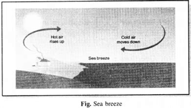 Explain the formation of sea breeze and land breeze in coastal areas ? - Sarthaks eConnect ...