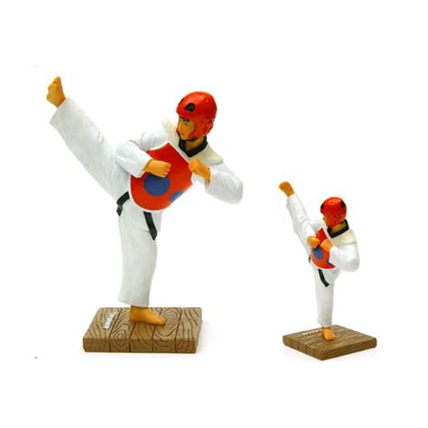 Taekwondo Adult - Side Kick - Arts & Crafts Korea