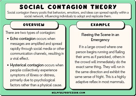 Social Contagion Theory: Definition and Examples (2024)