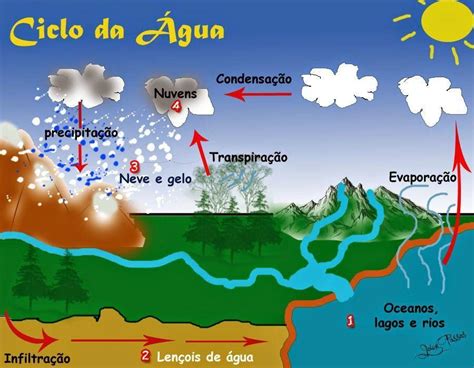 1) Observe a imagem do ciclo da Agua e depois relacione a segunda ...