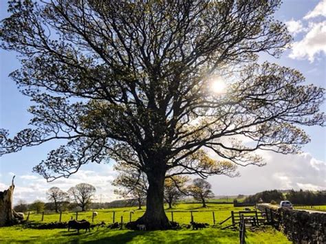 Hadrian’s Wall Walk Accommodation Guide: Where to Stay on Your Walk