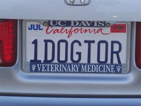 Information about "1dogtor.jpg" on funny bumper stickers - Davis - LocalWiki