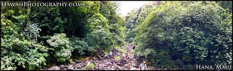 Maui Waterfall Hike - Maui Information Guide