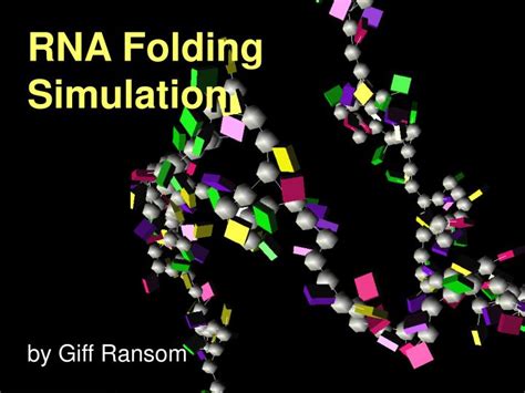 PPT - RNA Folding Simulation PowerPoint Presentation, free download - ID:338546