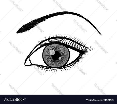 Black and white outline of a female eye Royalty Free Vector