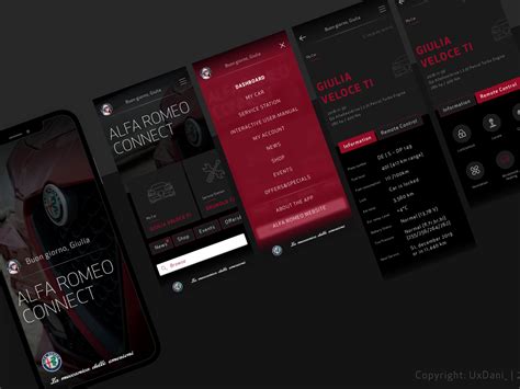 connected Car App-Study by Daniela on Dribbble