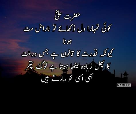 Mola Ali Quotes In Urdu | Beautiful Person Quotes