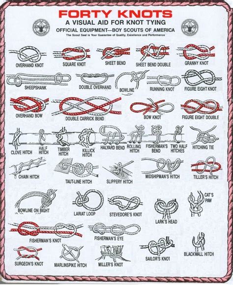 I found these forty knots through the Merit Badge website for Boy Scouts of the USA. You never ...