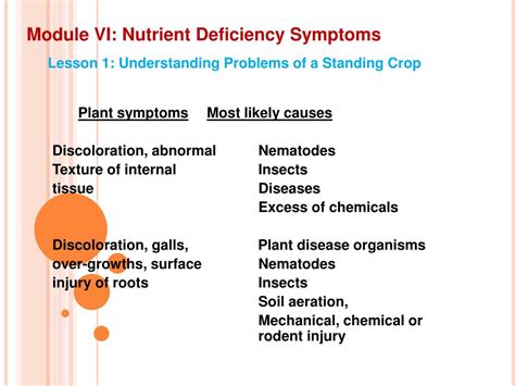 PPT - Module VI: Nutrient Deficiency Symptoms PowerPoint Presentation ...