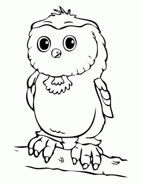 Baby Owl Coloring Pages - GetColoringPages.com