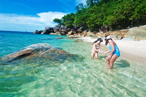 Fitzroy Island Snorkelling: The Ultimate Travellers Guide - Fitzroy Island