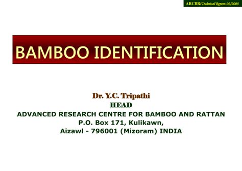 (PDF) Bamboo Identification