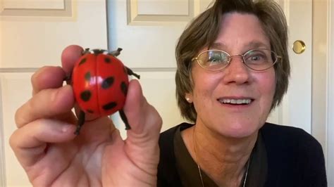 Ladybug Facts with Ms. Kim | UCNSkids - YouTube