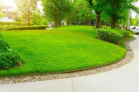 4 Options for Landscape Edging Styles - Ohio Valley Group