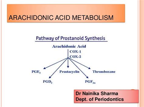 Arachidonic acid metabolism