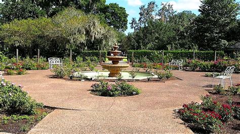 Leu Gardens beautiful Rose Garden in Winter Park, Florida - YouTube