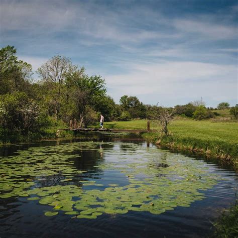 6 Best Tools for Removing Lake and Pond Weeds | The Family Handyman