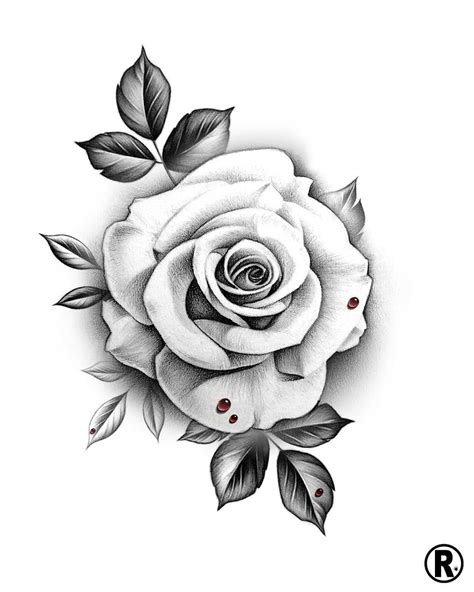 A imagem pode conter: flor e planta | Realistic rose tattoo, Rose drawing tattoo, White rose tattoos