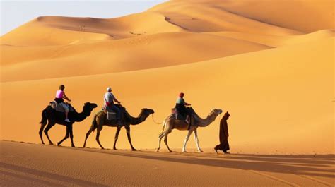 Desert Safaris in Dubai: The Ultimate Guide 2020 | Bookmundi