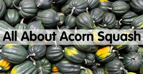 All About Acorn Squash - How to Pick, Prepare & Store | Healthy Family Project