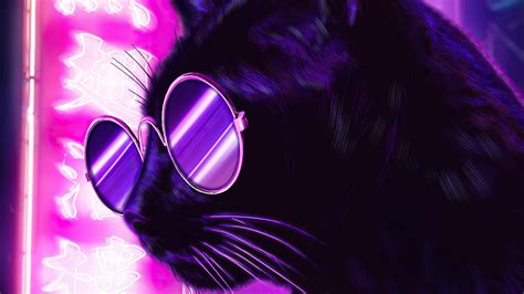 Purple Cat Wallpapers - Wallpaper Cave