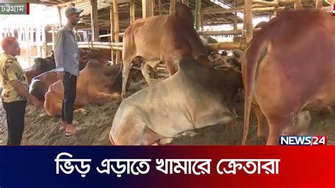 সস্তা গরুর আশায় আগেভাগেই খামারে ক্রেতারা | Haat | Eid | Eid Bazar | News24 - YouTube