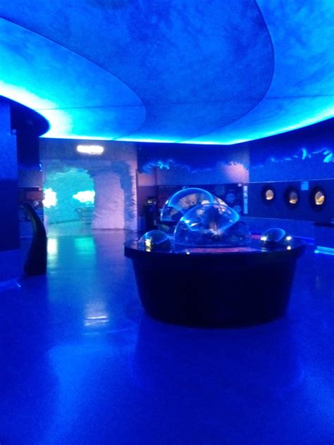 Istanbul Aquarium at Aqua Florya | What to do in Istanbul