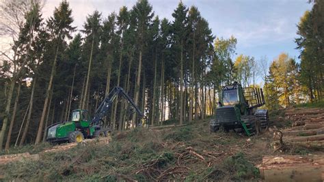 Timber Harvesting | Joe Court Forestry