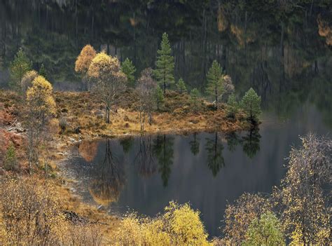 Autumn Point Glen Affric | Glen Affric, Highlands, Scotland | Transient Light