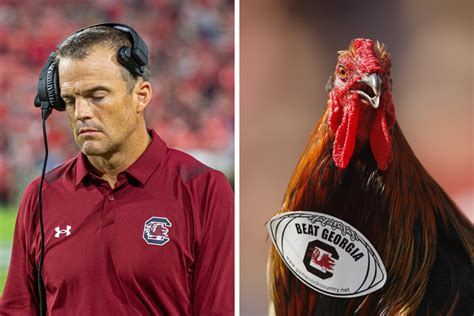 South Carolina Renames Their Mascot "The General," Chickening Out at ...