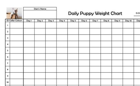 Puppy Weight Chart Template