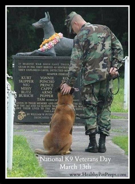 National K9 Veterans Day Is March 13th - Saluting The Courageous Dogs Of War | Military working ...