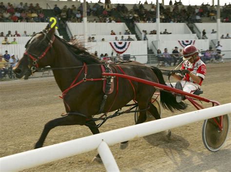 107th Lincoln County Fair opens Saturday - al.com