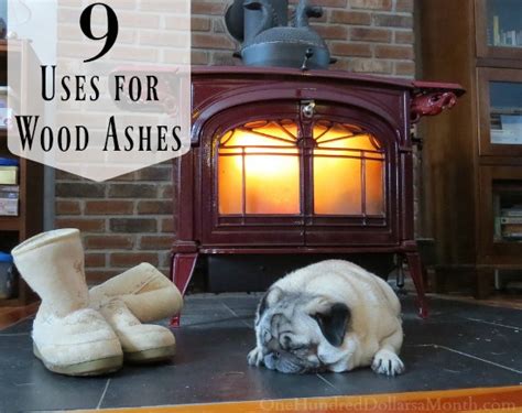 9 Uses for Wood Ashes - One Hundred Dollars a Month